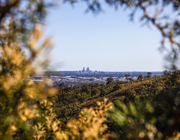 Enchantment of Perth Hills: Mundaring, Bickley Wineries, and Lesmurdie Waterfalls